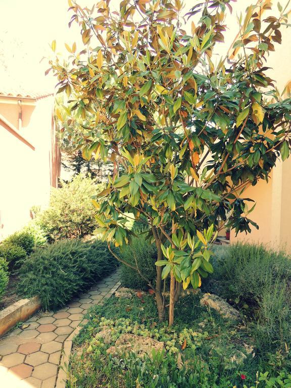 Stoja Apartment Πούλα Εξωτερικό φωτογραφία